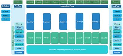 Effects of tailored interventions for anxiety management in choking-susceptible performing artists: a mixed-methods collective case study